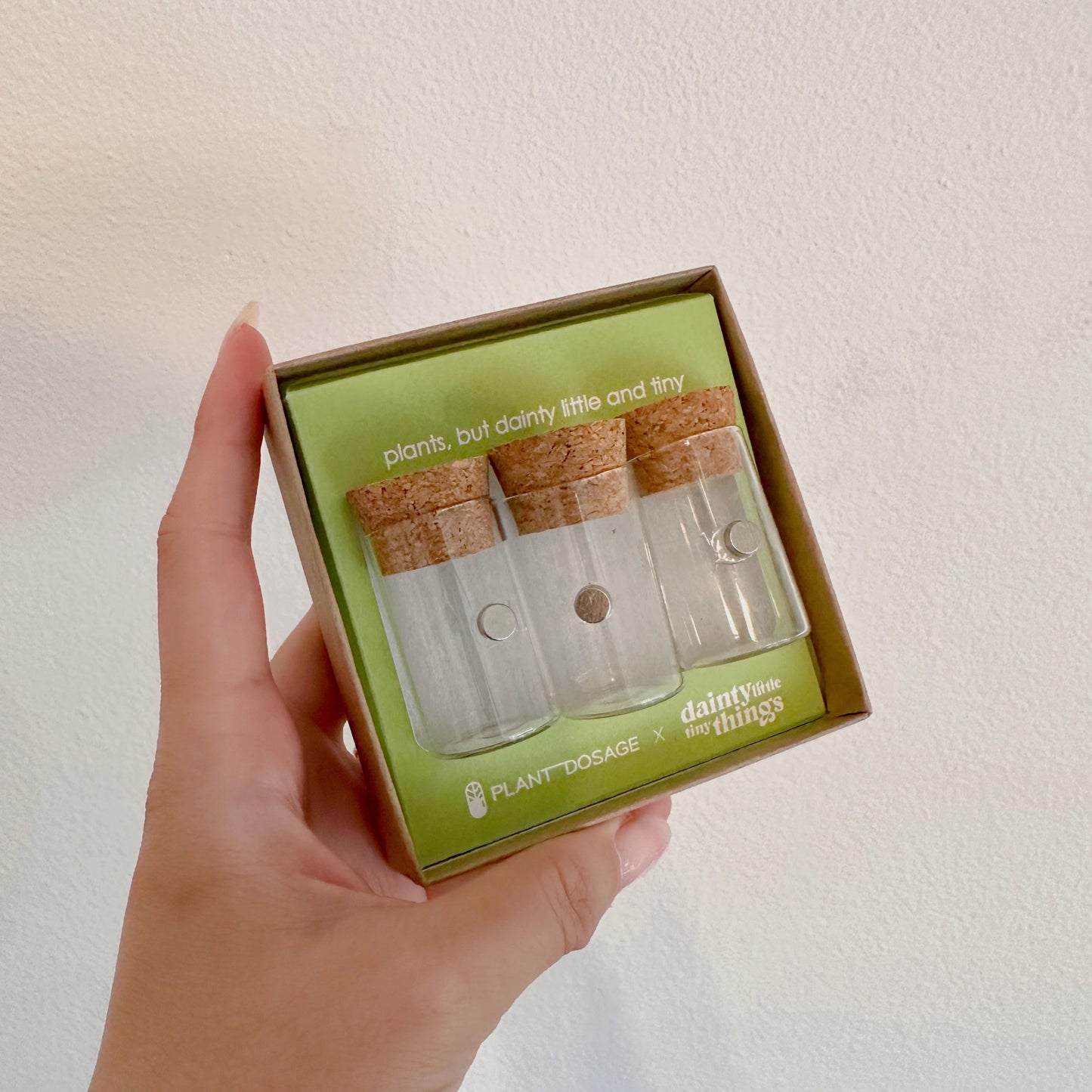 Magnetic Glass Jars