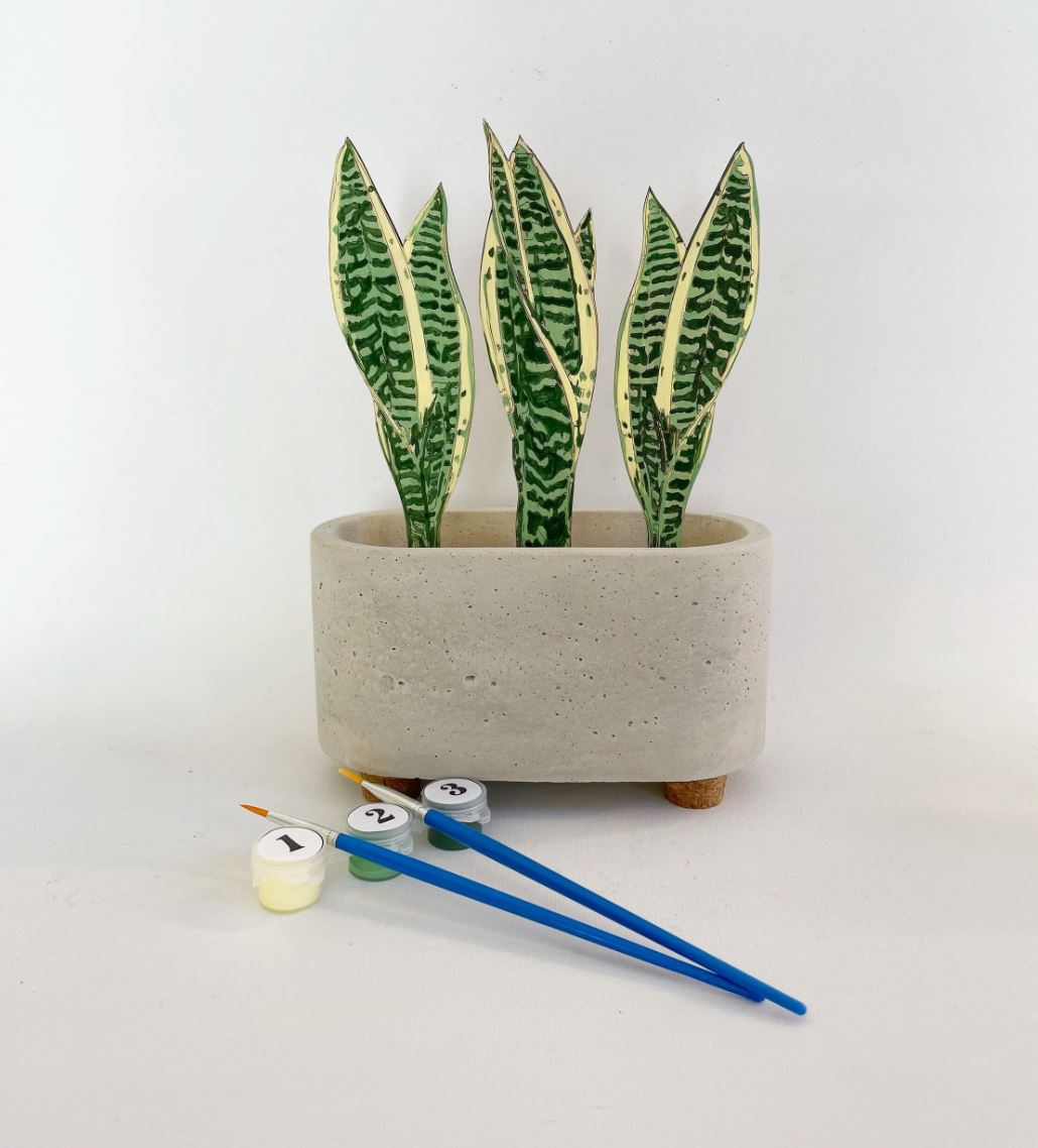 Paint Your Own Snake Plant