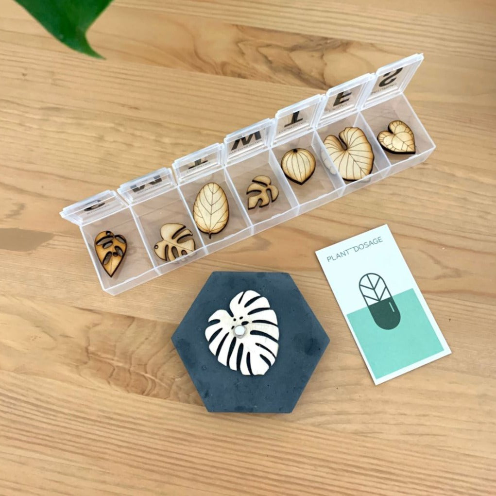 Pill Case 7 Set Plant Wooden Magnets + 1 Monstera
