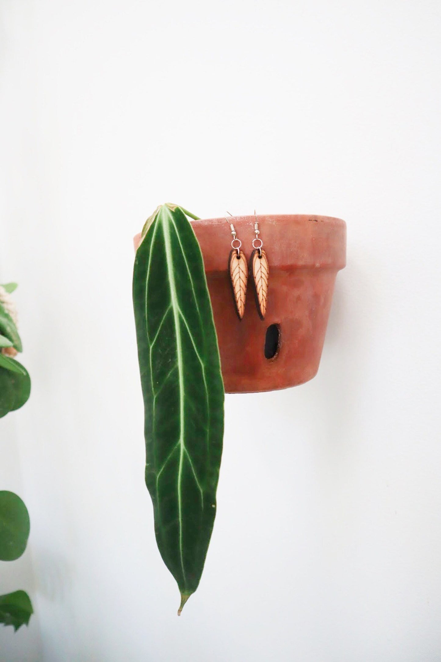 Anthurium King & Queen Warocqueanum & Anthurium Veitchii Wooden Earrings