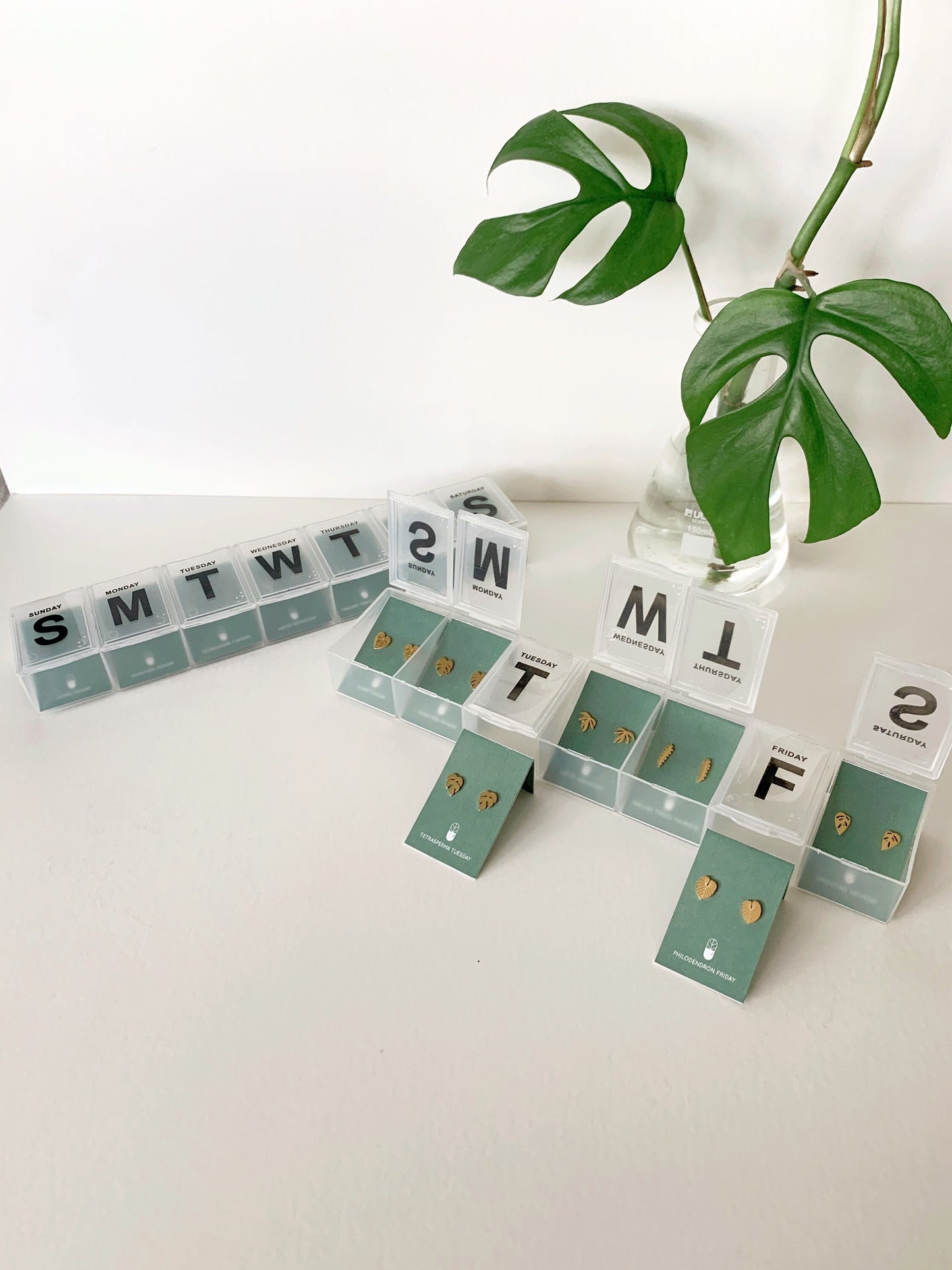 Pill Case 7 Day Plant Metal Stud Earrings - Plant Dosage
