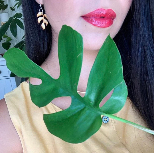 Rhaphidophora Tetrasperma Wooden Earrings - Plant Dosage