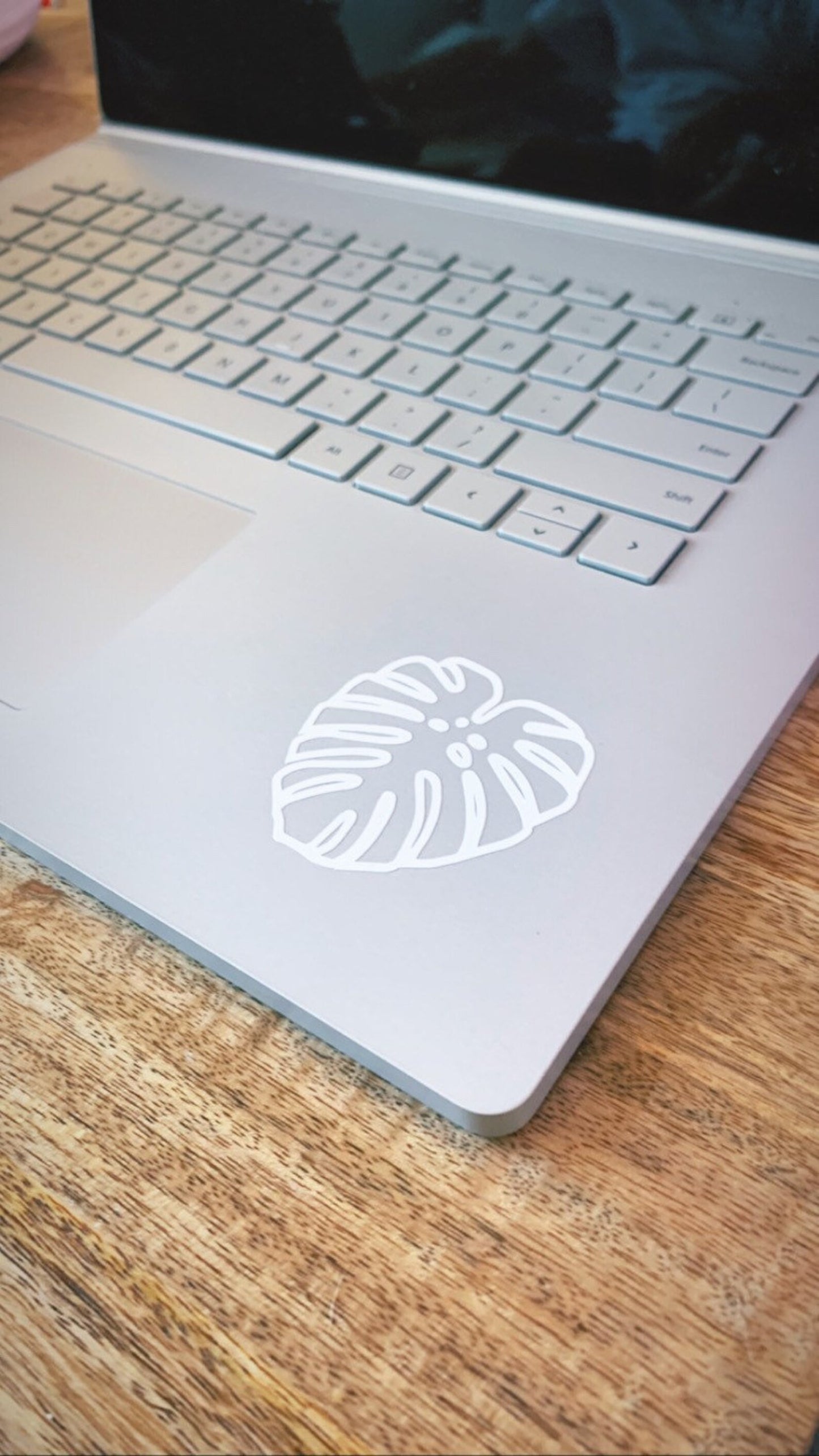 Fenestrated Monstera Deliciosa Sticker Decal - Plant Dosage