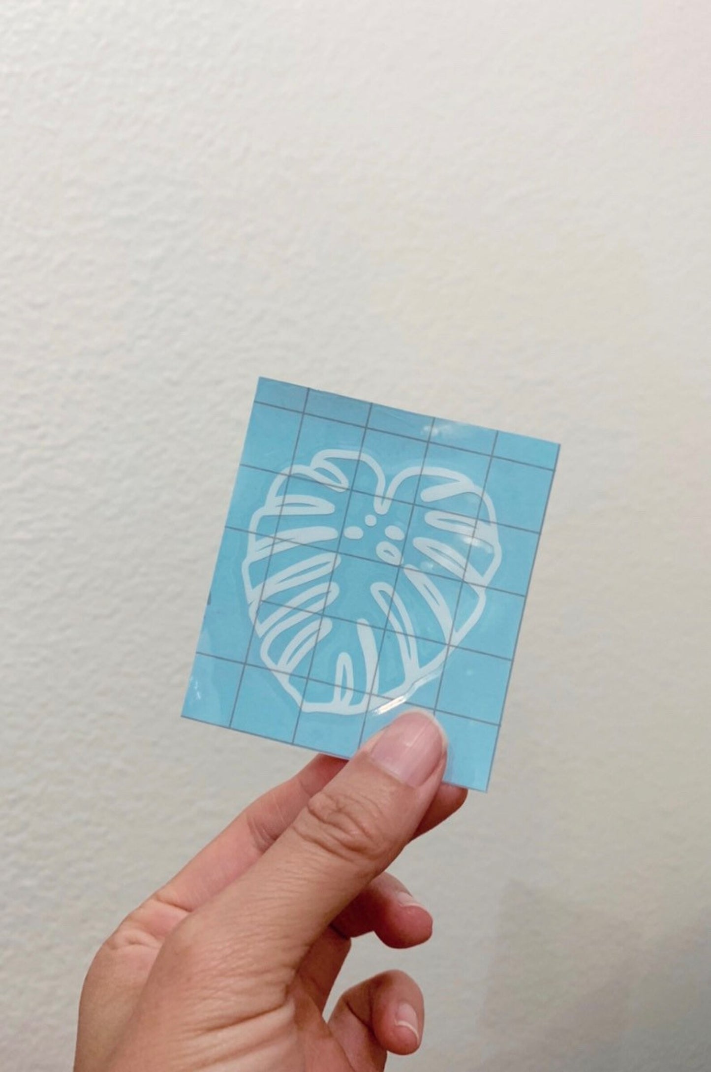 Fenestrated Monstera Deliciosa Sticker Decal - Plant Dosage