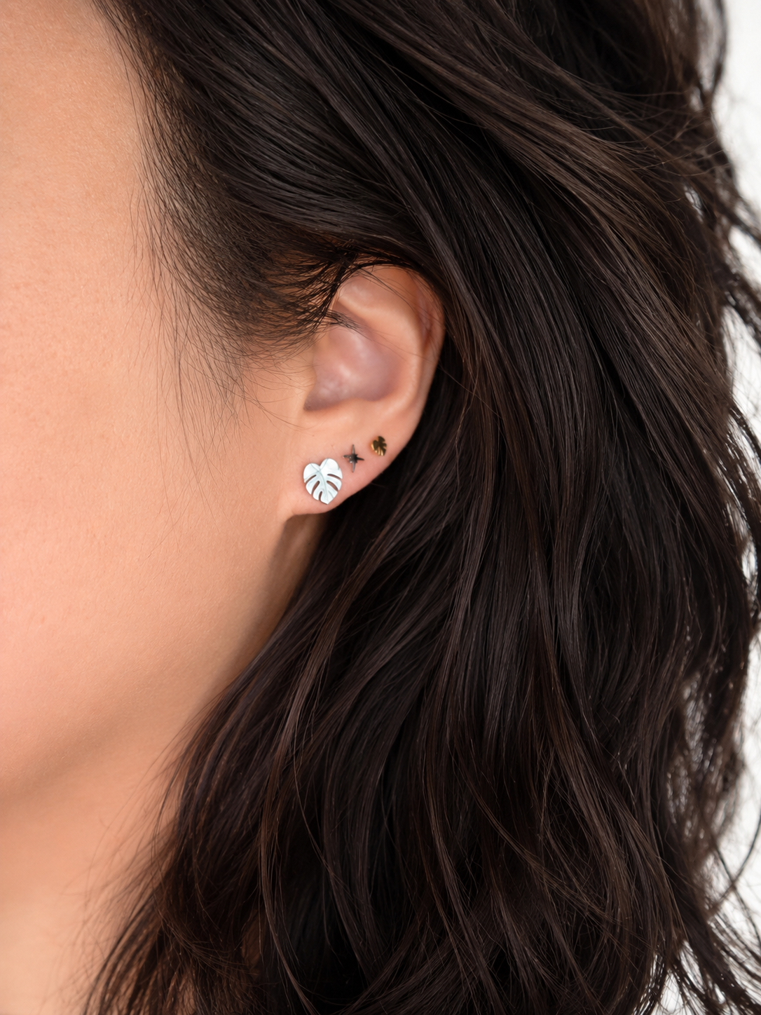 Houseplants Starter Pack Earring Studs with Reusable Propagation Stand