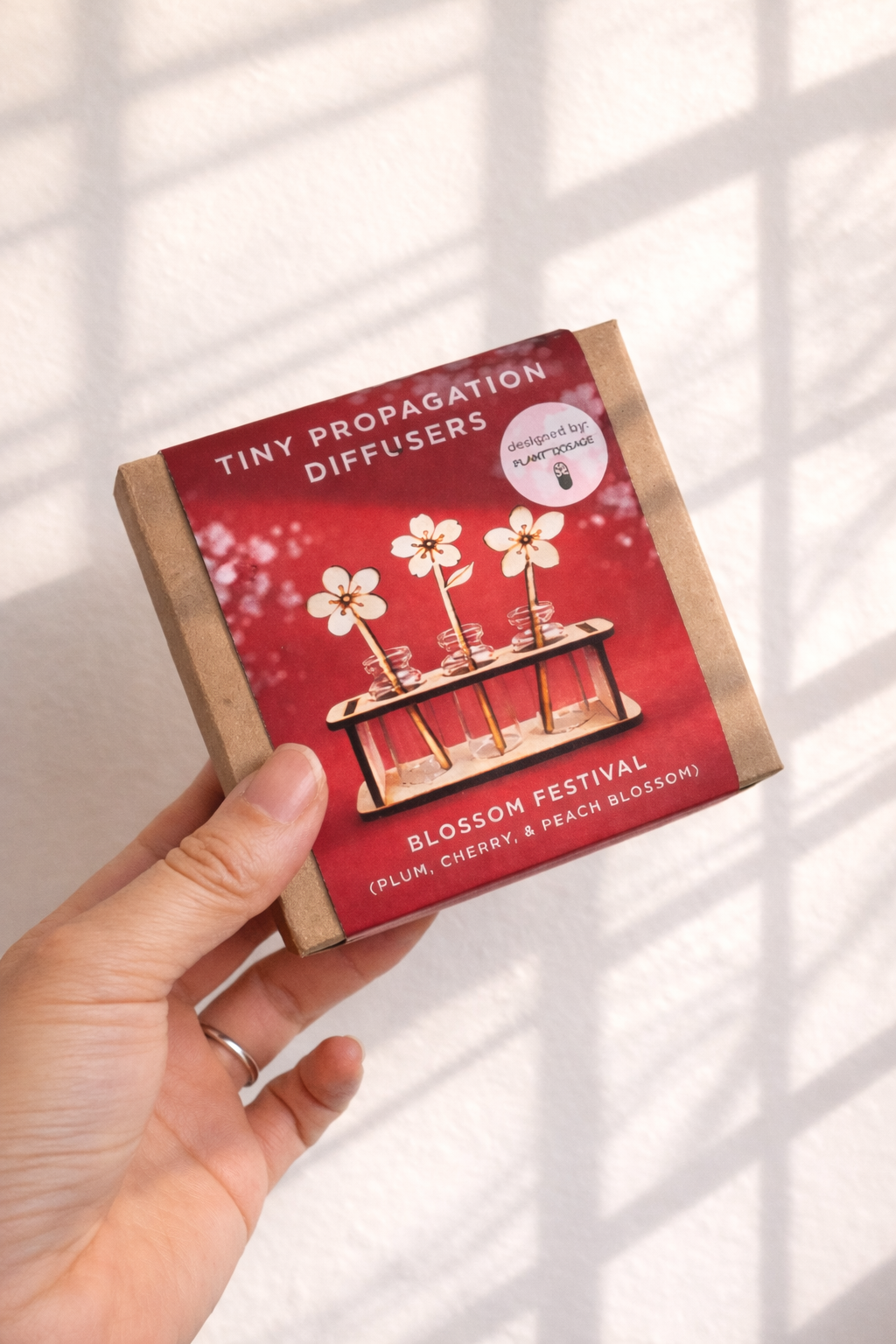 Diffuser: Blossom Festival