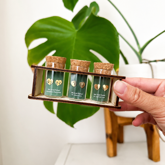 Houseplants Starter Pack Earring Studs with Reusable Propagation Stand