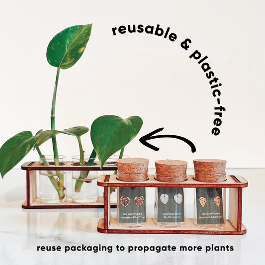 Tiny Houseplant Earring set Propagation Station- 3 pairs of earring studs