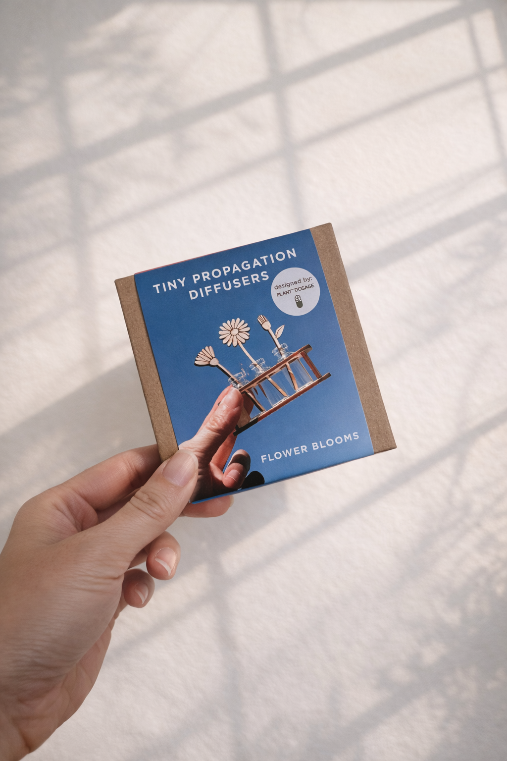 Diffuser: Floral Blooms