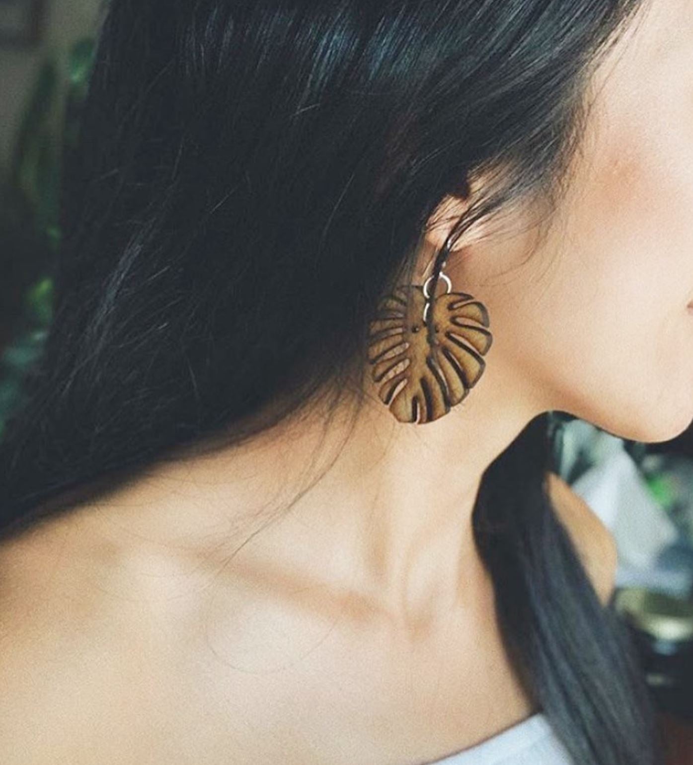Pill Case 7 Set Plant Wooden Earrings - Plant Dosage