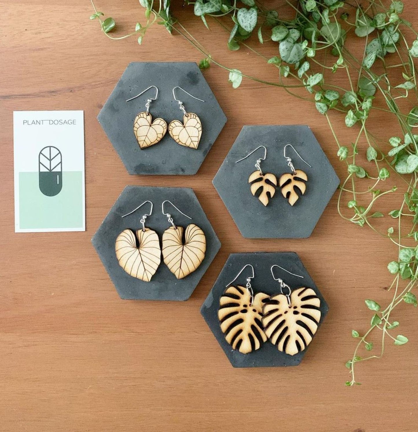 Philodendron Gloriosum Wooden Earrings