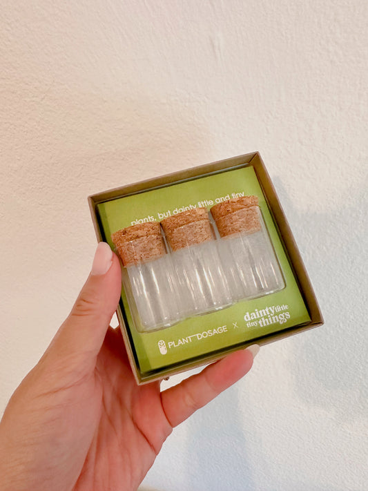 Tiny Glass Jars