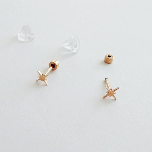Flat Back- Teeniest Tiniest Wish Upon A Star Earring Studs