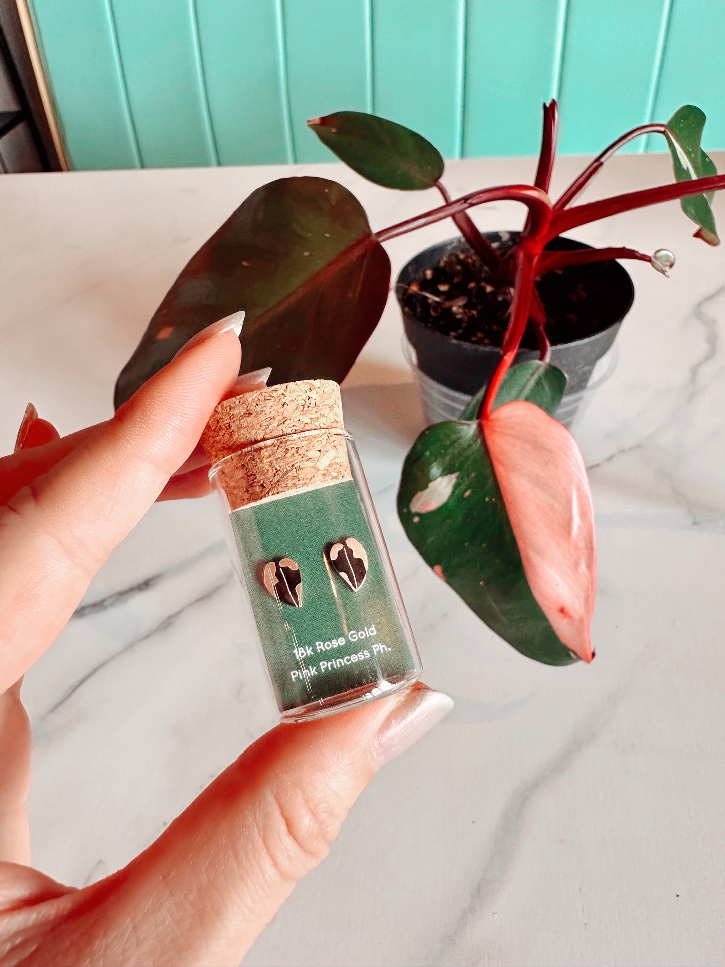 Pink Princess | White Knight Philodendron Mini Stud Earrings