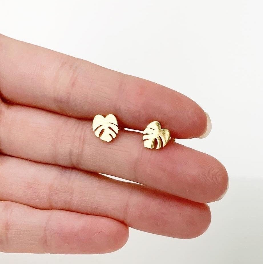 Pill Case 7 Day Plant Metal Stud Earrings