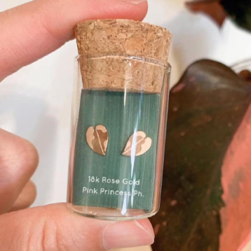 Plant Dosage Tiny Metal Stud Earrings