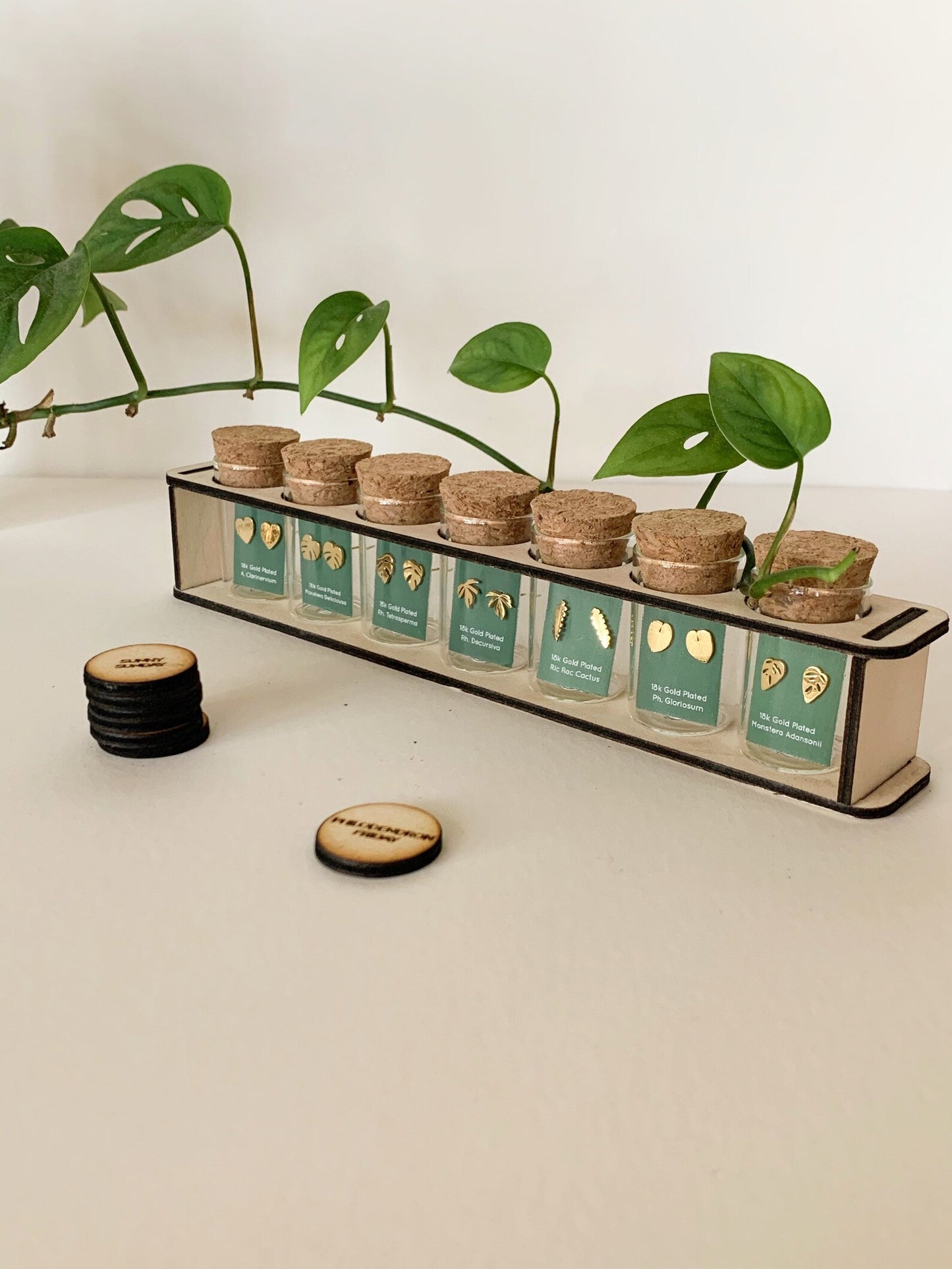 Tiny Houseplant Earring set Propagation Station- 3 pairs of earring studs