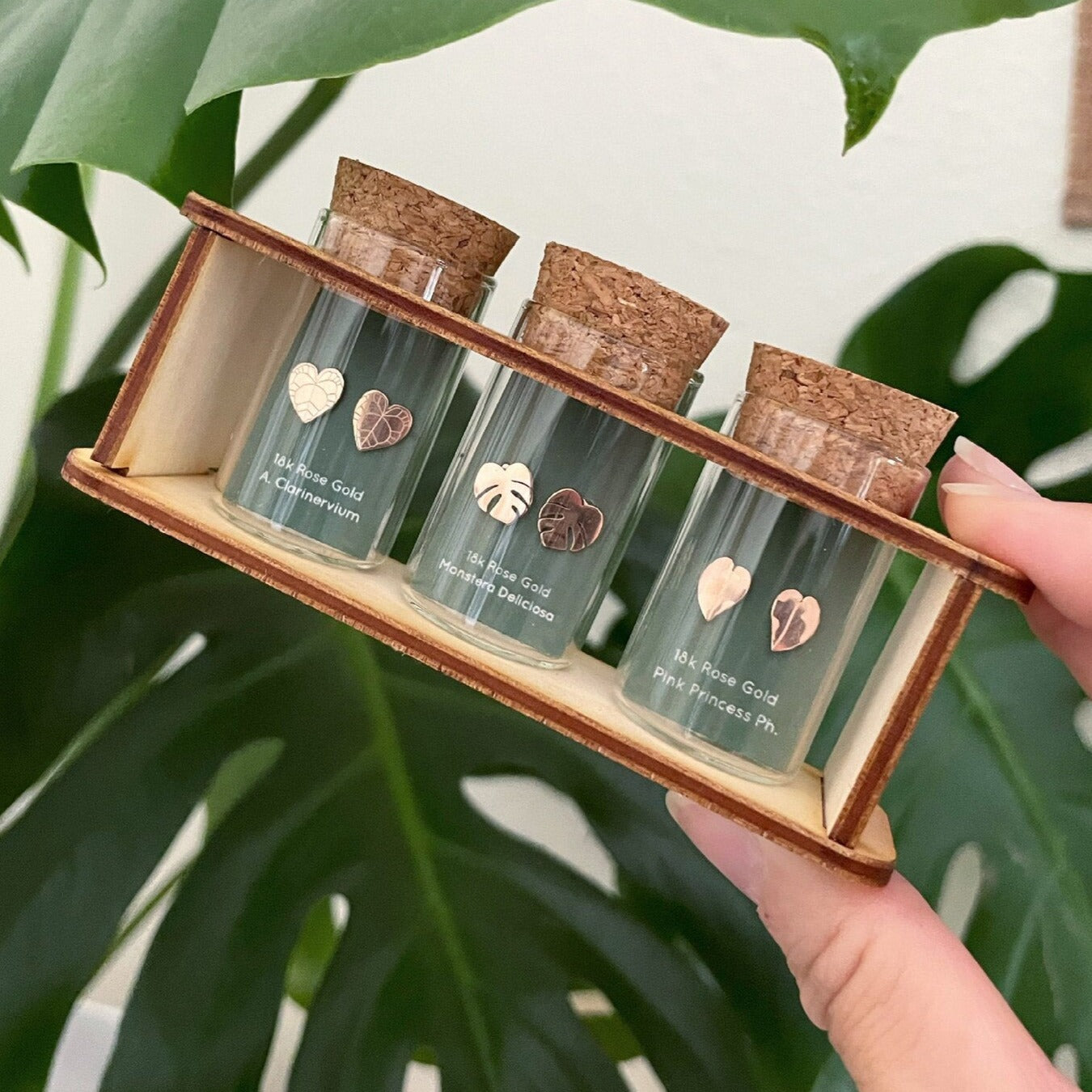Tiny Houseplant Earring set Propagation Station- 3 pairs of earring studs