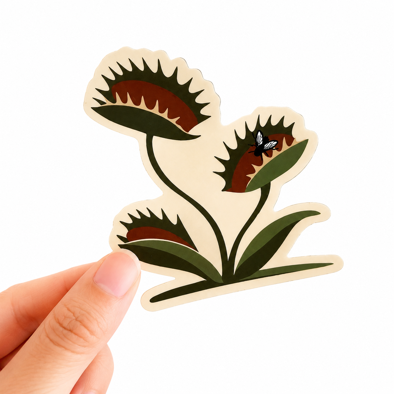 Sticker: Venus Fly Trap Sticker