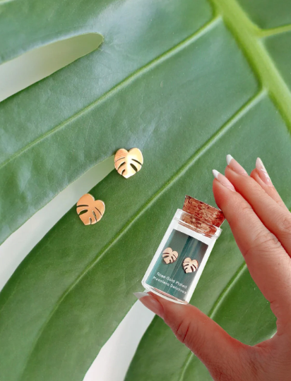 Tiny Houseplant Earring set Propagation Station- 3 pairs of earring studs