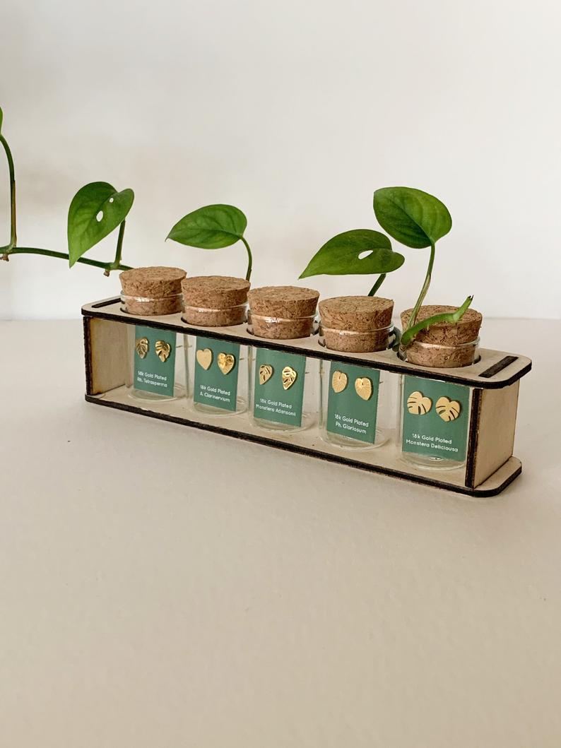Tiny Houseplant Earring set Propagation Station- 3 pairs of earring studs