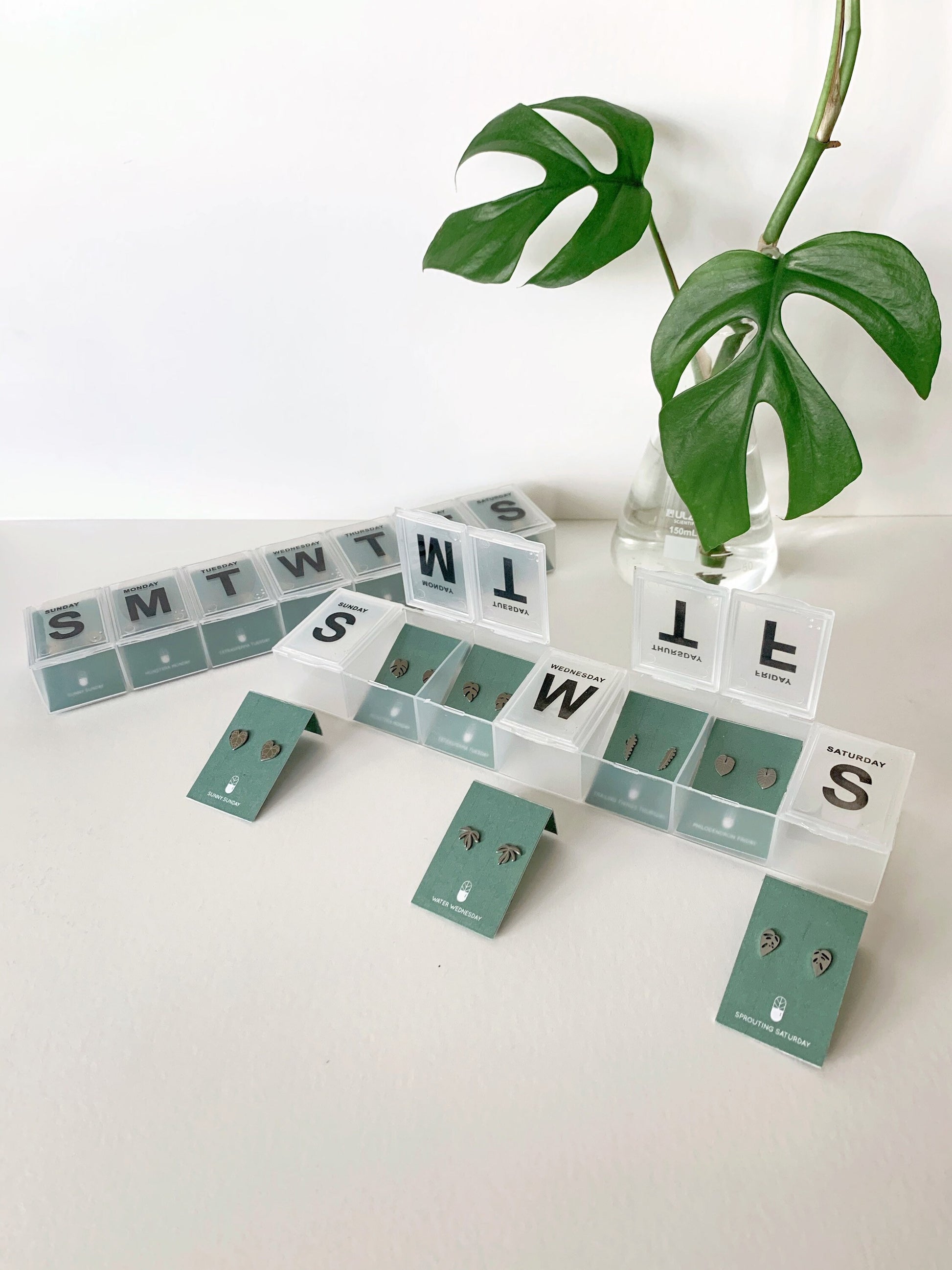 Pill Case 7 Day Plant Metal Stud Earrings - Plant Dosage