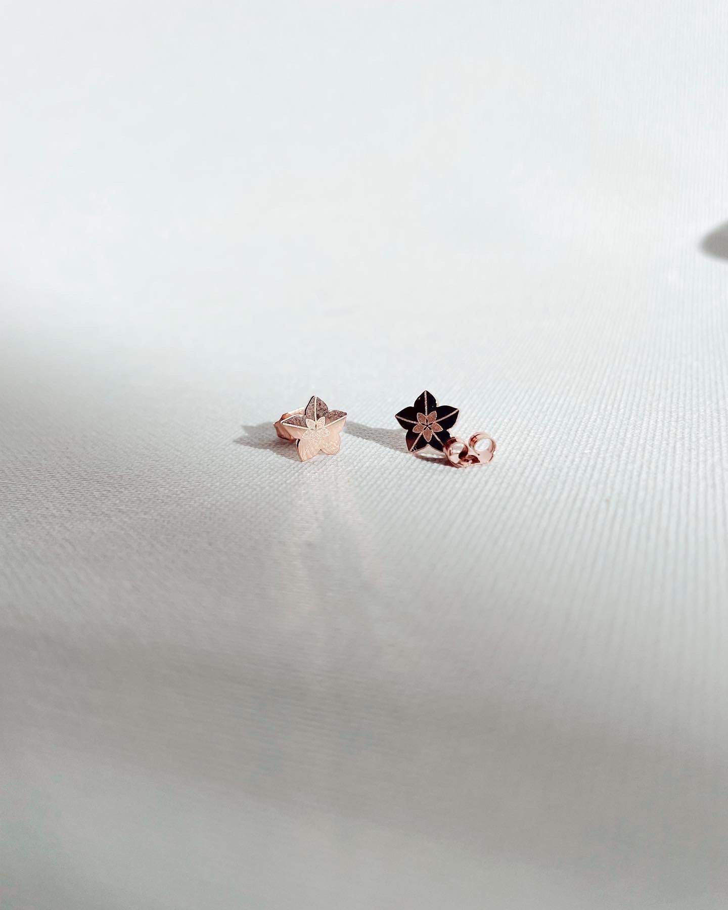 Hoya Blooms Metal Stud Earrings - Plant Dosage