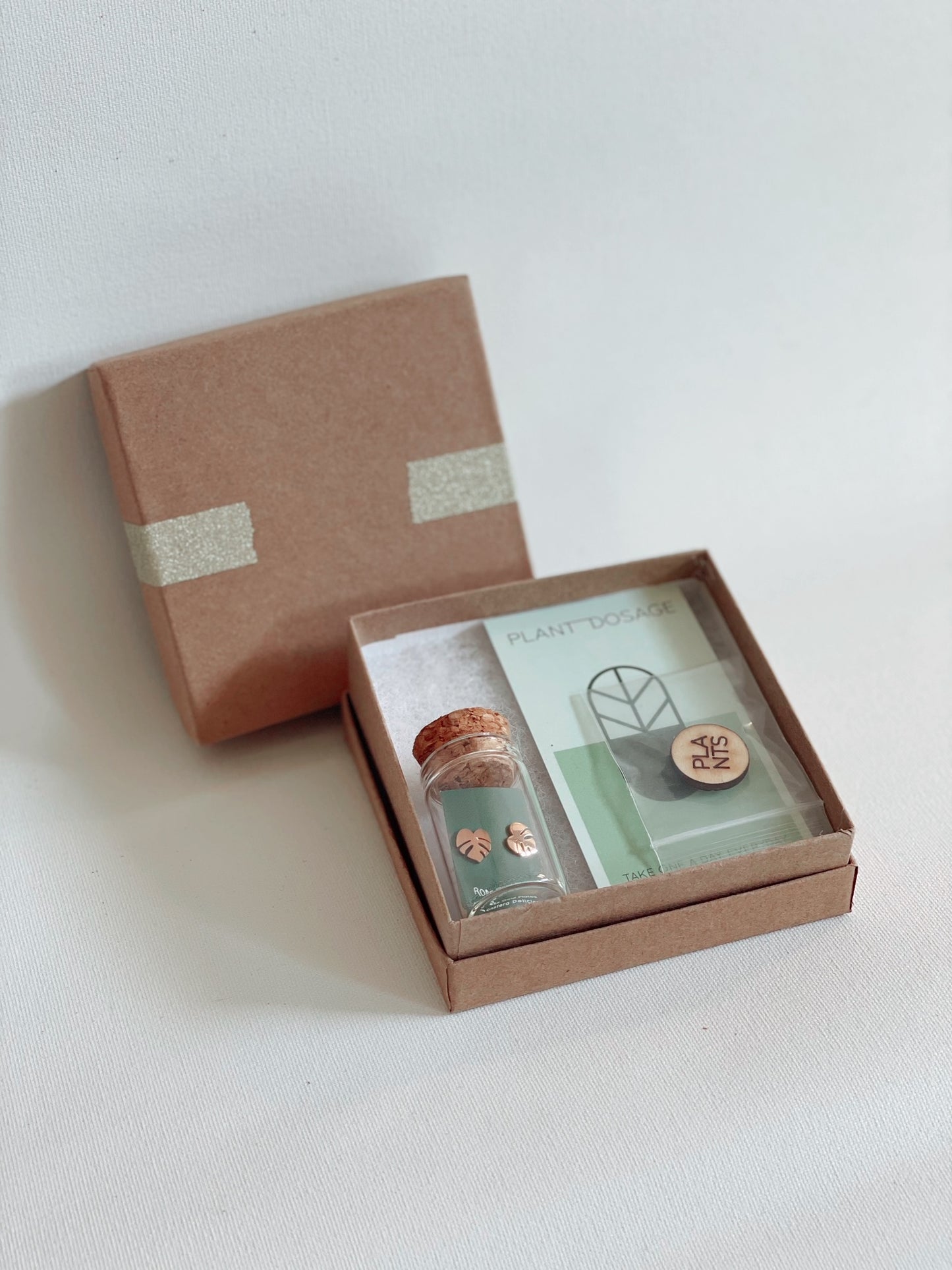 Ric Rac Cactus Metal Stud Earrings - Plant Dosage