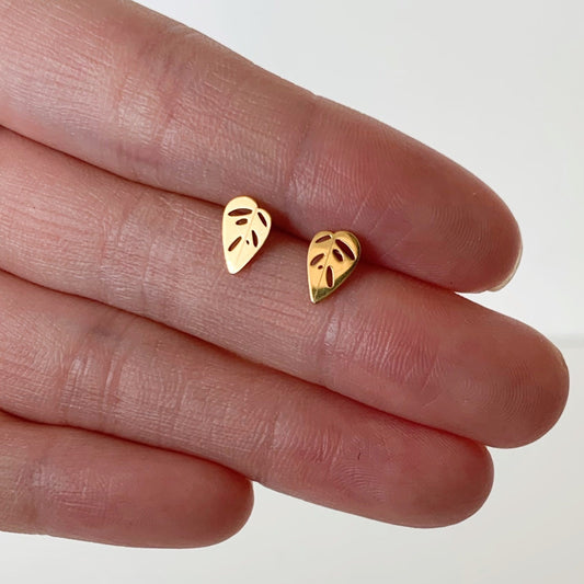 Monstera Adansonii Metal Stud Earrings - Plant Dosage
