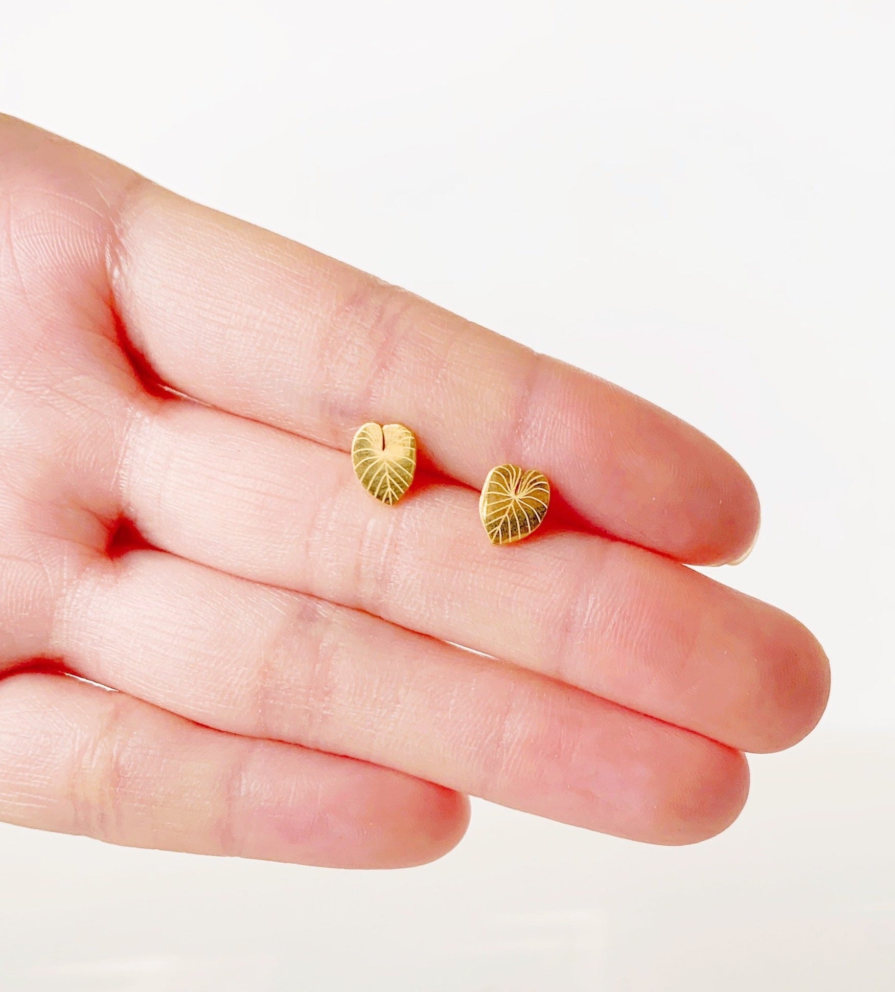 Philodendron Gloriosum Metal Stud Earrings - Plant Dosage