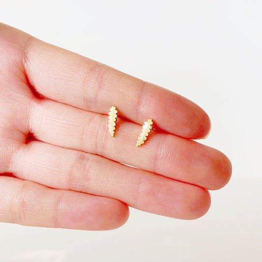 Ric Rac Cactus Metal Stud Earrings - Plant Dosage