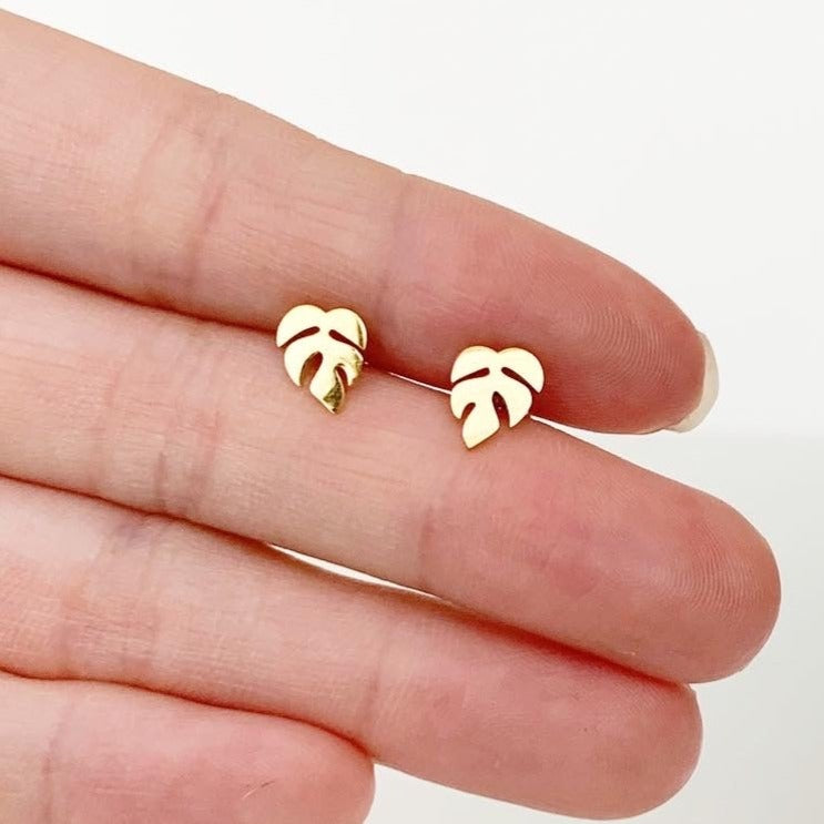 Rhaphidophora Tetrasperma Metal Stud Earrings - Plant Dosage