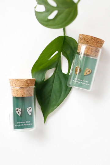 Monstera Adansonii Metal Stud Earrings - Plant Dosage