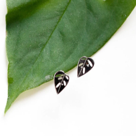 Monstera Adansonii Metal Stud Earrings - Plant Dosage