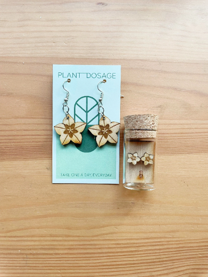 Hoya Blooms Wooden Earrings - Plant Dosage