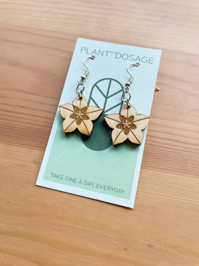 Hoya Blooms Wooden Earrings - Plant Dosage