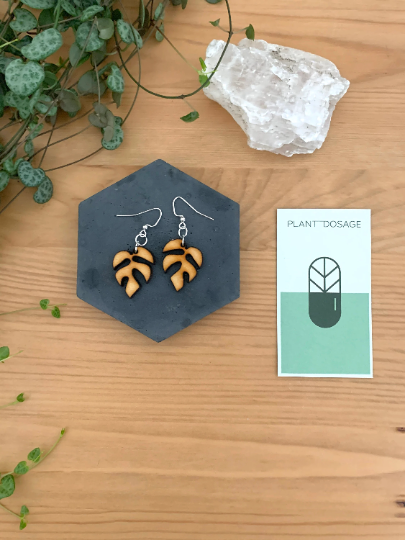 Rhaphidophora Tetrasperma Wooden Earrings - Plant Dosage