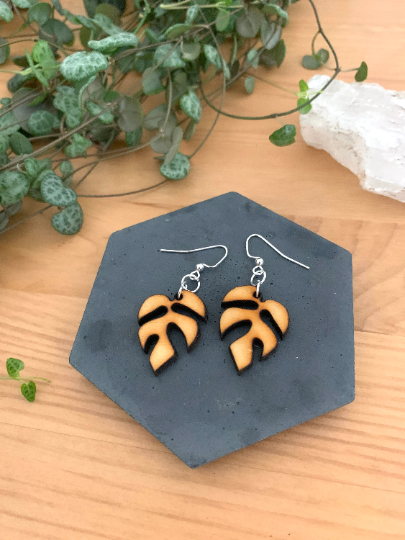 Rhaphidophora Tetrasperma Wooden Earrings - Plant Dosage