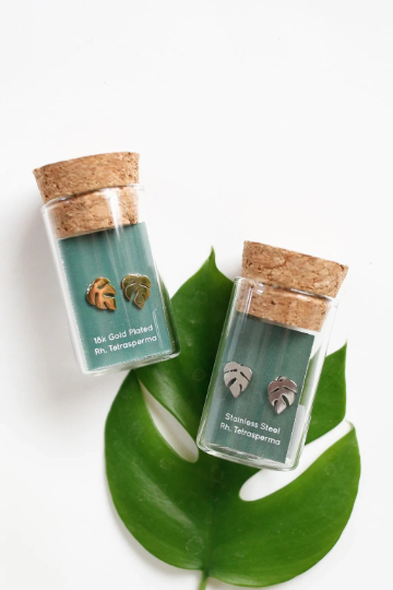 Rhaphidophora Tetrasperma Metal Stud Earrings - Plant Dosage