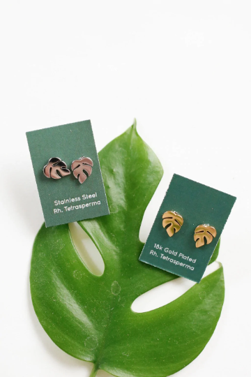 Rhaphidophora Tetrasperma Metal Stud Earrings - Plant Dosage