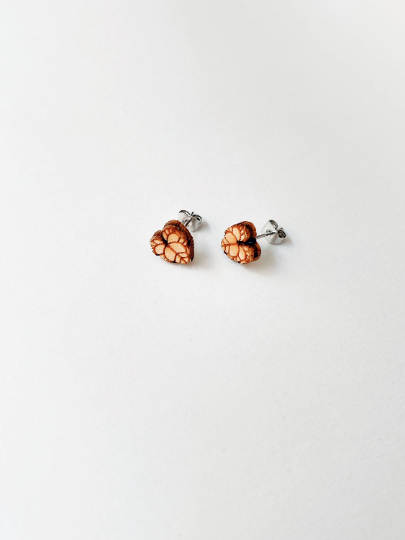 Mini Wooden Plant Earrings - Plant Dosage
