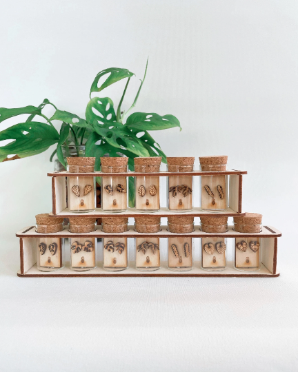 Mini Wooden Earring Studs Prop Set - Plant Dosage