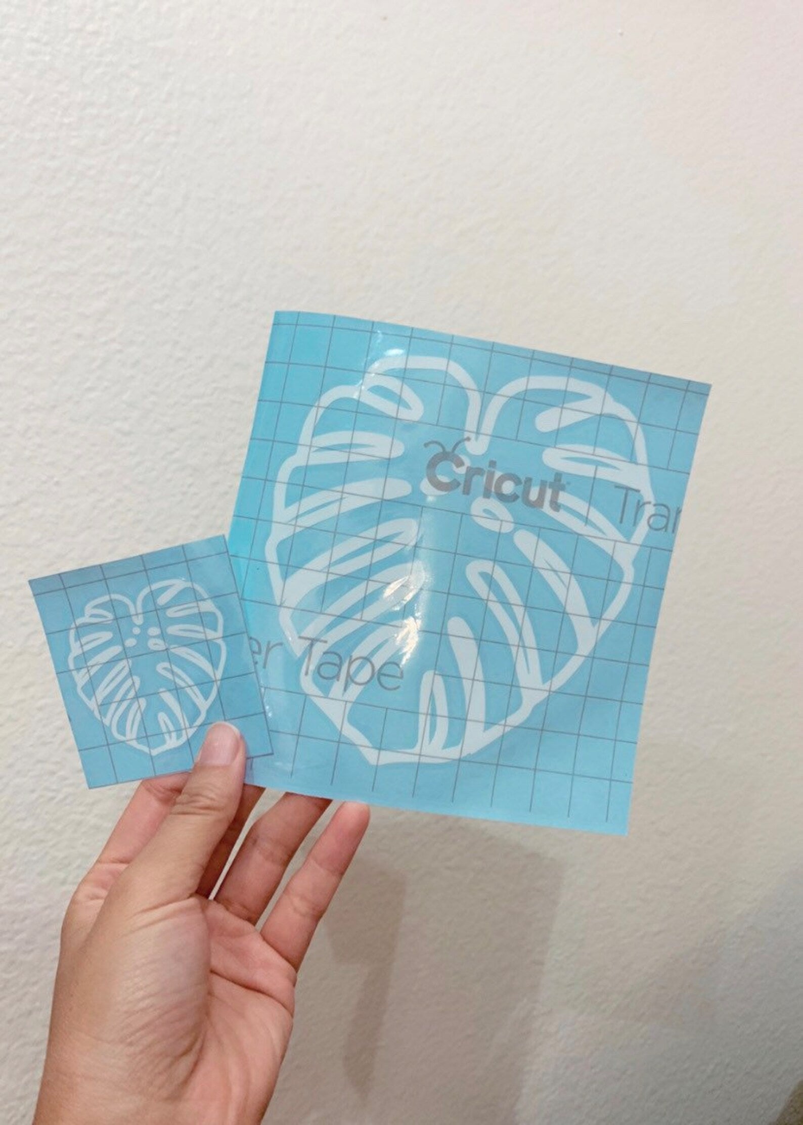 Fenestrated Monstera Deliciosa Sticker Decal - Plant Dosage