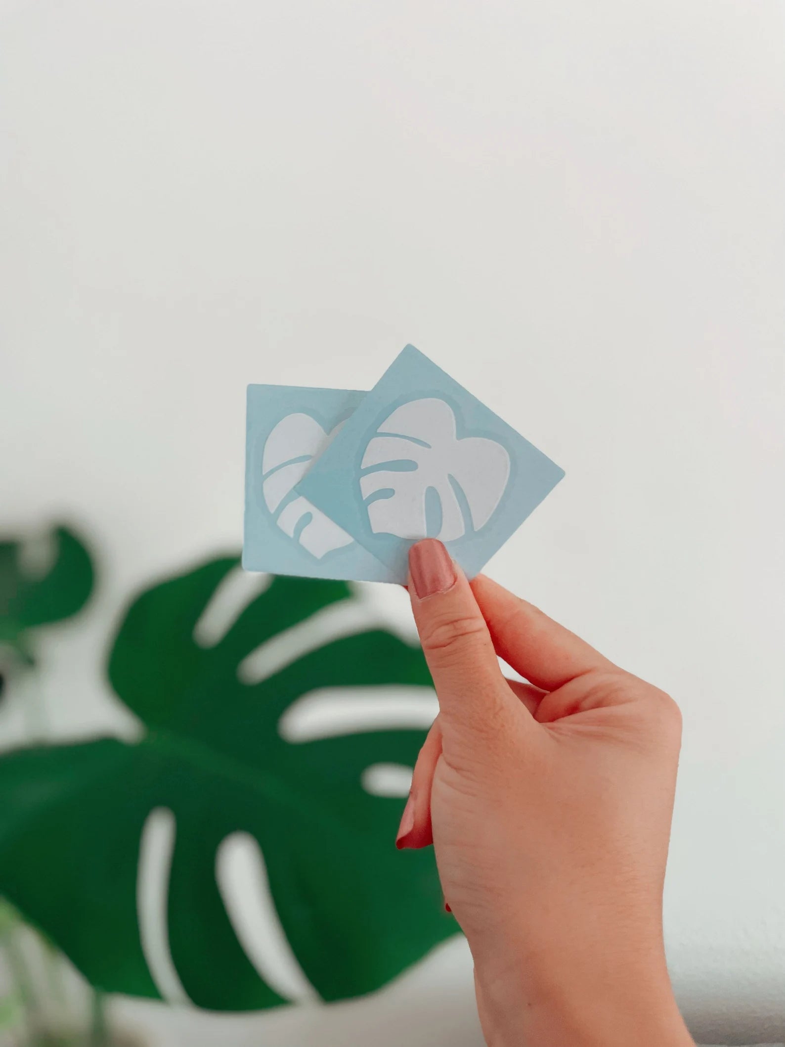 Monstera Deliciosa Decal Stickers - Plant Dosage